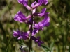 20160704DSC_1415