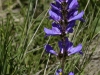 20160704DSC_1419