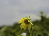 20160704DSC_1422
