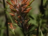 20160704DSC_1425