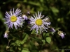 20160704DSC_1426