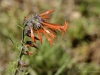 20160704DSC_1460