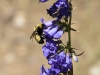 20160704DSC_1461