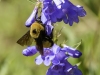 20160704DSC_1464
