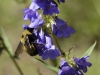 20160704DSC_1476