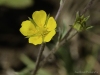 20160704DSC_1516