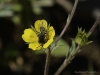 20160704DSC_1517