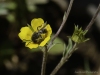20160704DSC_1518