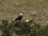 20190413DSC_2277