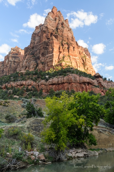 201209252012DSC_9648-2