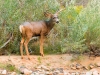 201209252012DSC_9969-2